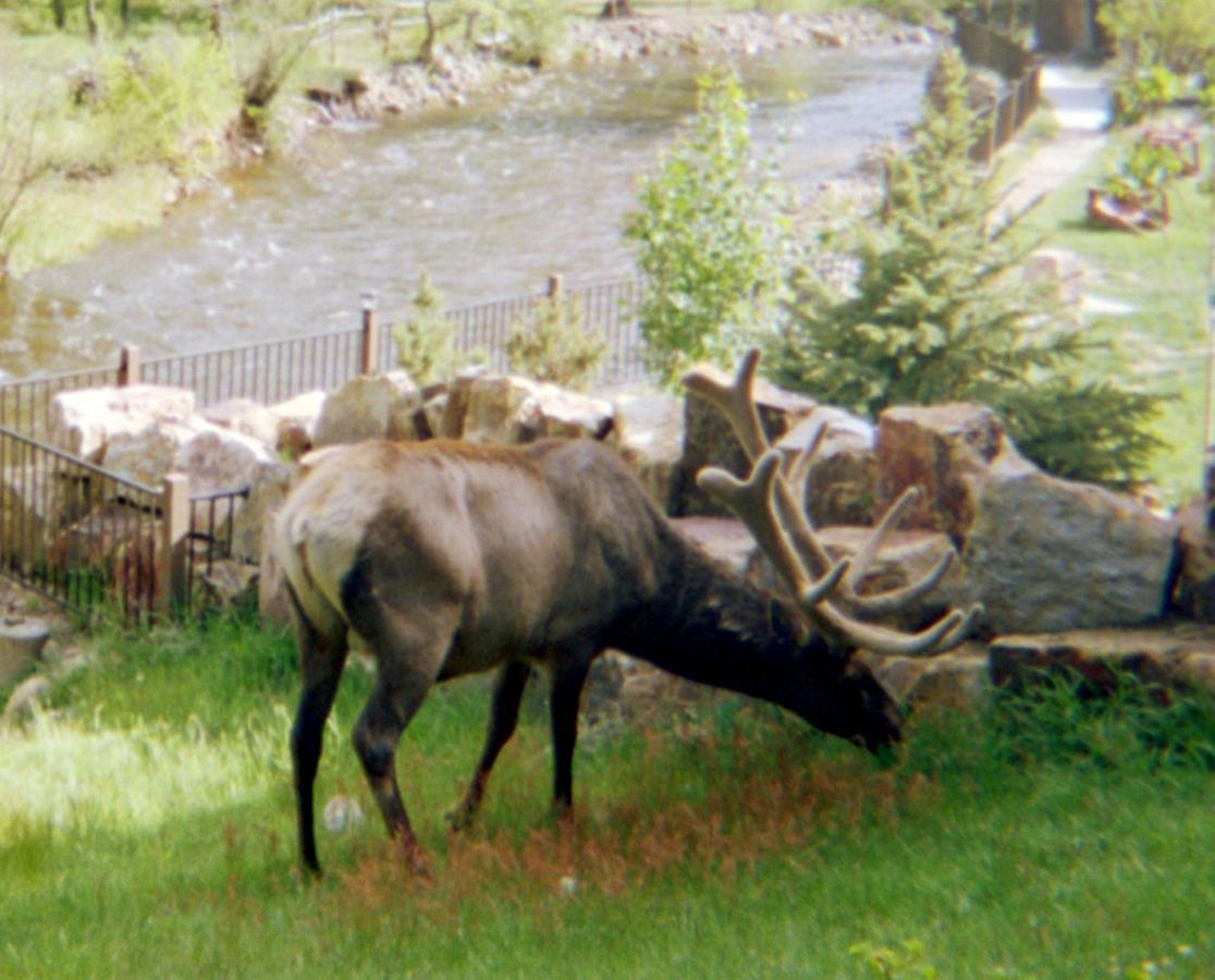 Skyline Cottages Estes Park Exterior photo